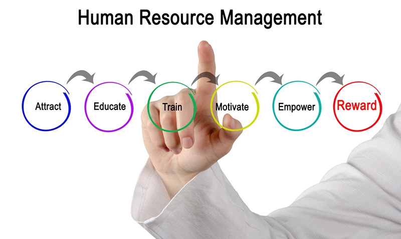 Why should you go for HR courses in detail?